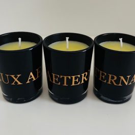 Kerzen Lux Aeterna2